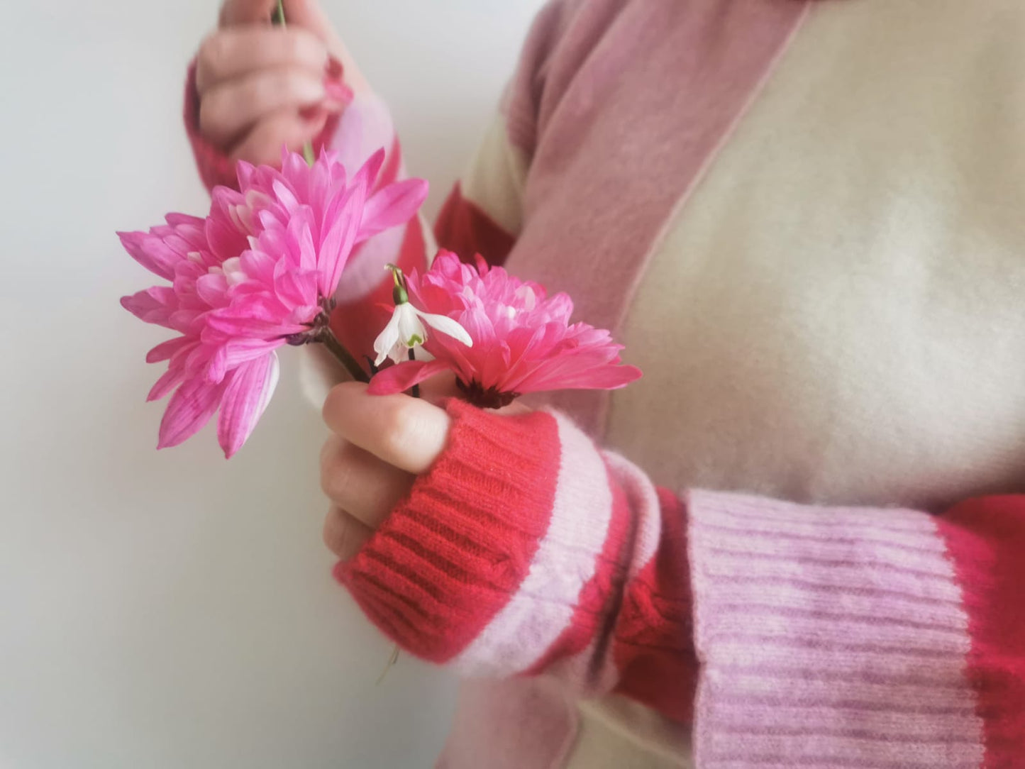 Muddle Bus 03- Pied Piper Wrist Warmers. Hands holding pink and white flowers wearing pink and paler pink stripe knitted fingerless gloves with a cable detail.
